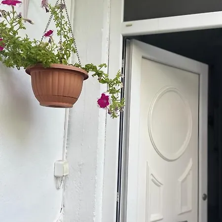 בית הארחה Sofis Garden קאבאלה