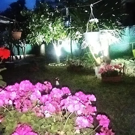 בית הארחה Sofis Garden