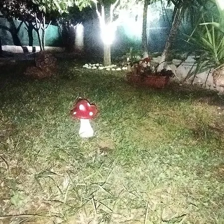 Sofis Garden קאבאלה