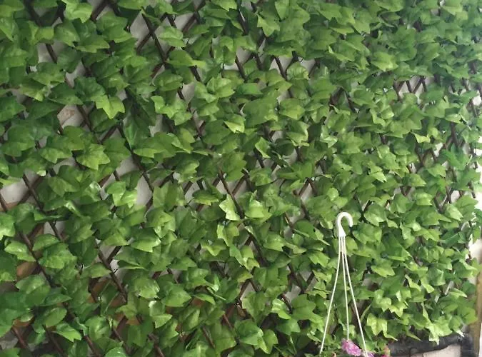 Sofis Garden Pensiune Kavala