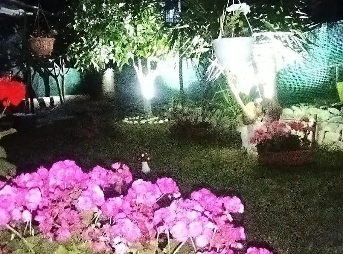 Pensiune Sofis Garden