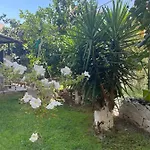 Sofis Garden 卡瓦拉