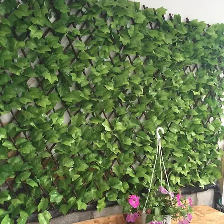 Sofis Garden 게스트하우스 카발라