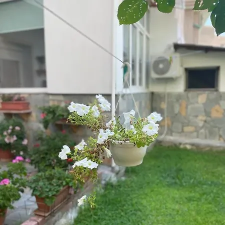 Sofis Garden *