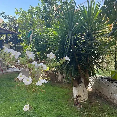 Sofis Garden Kavala
