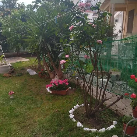 Sofis Garden 4*