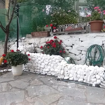 Sofis Garden