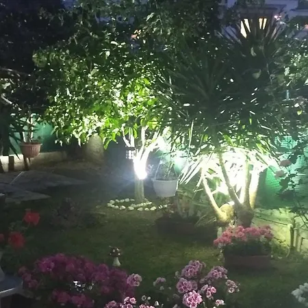 Sofis Garden 4*